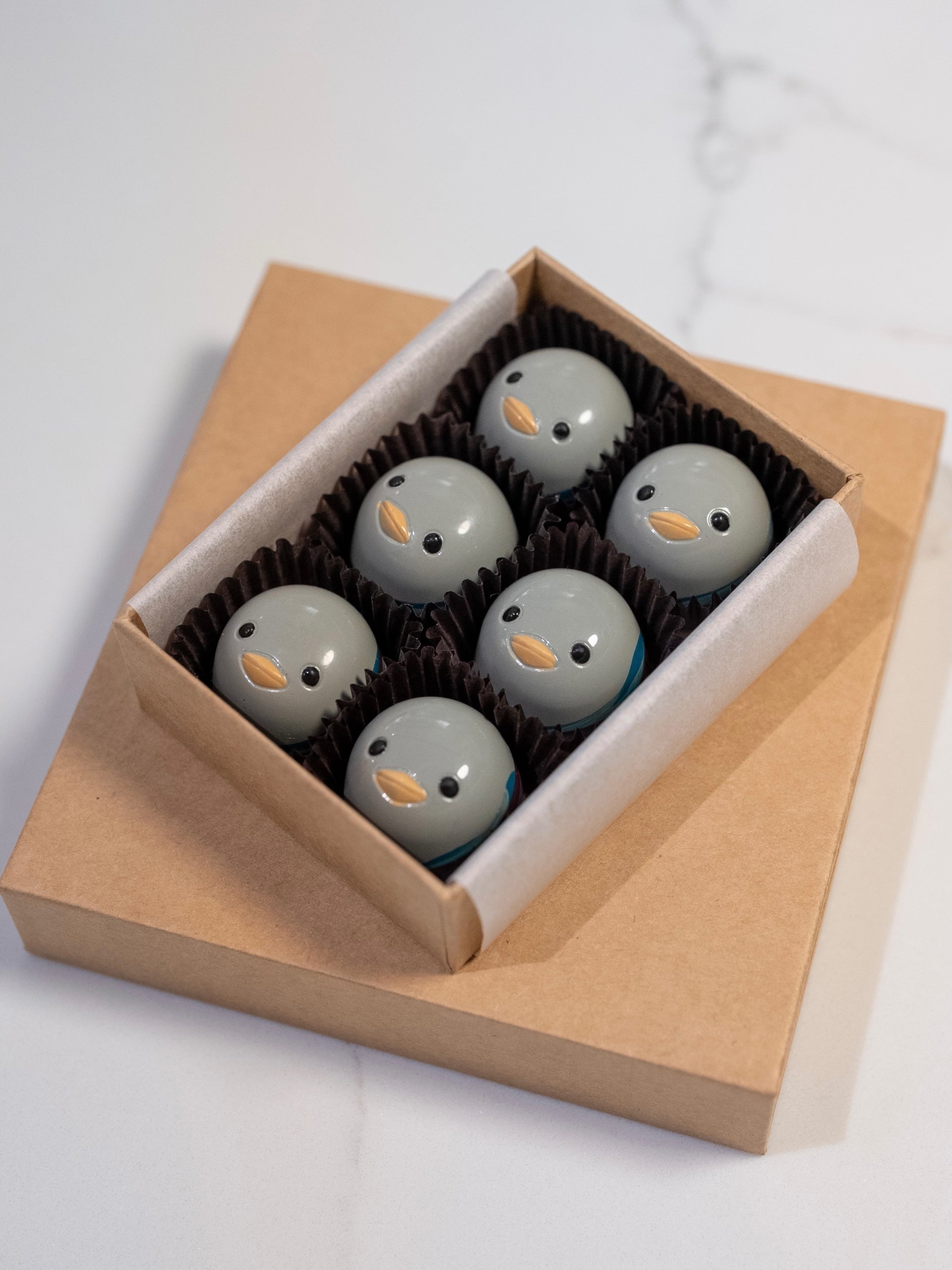Team Favorites Bonbon Box | Daniel Corpuz Chocolatier